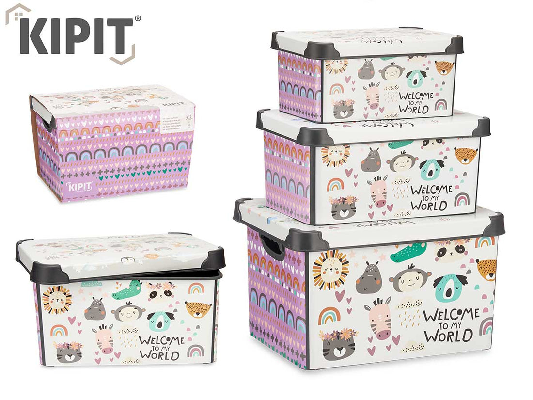 Conjunto de 3 caixas plásticas Pzs World