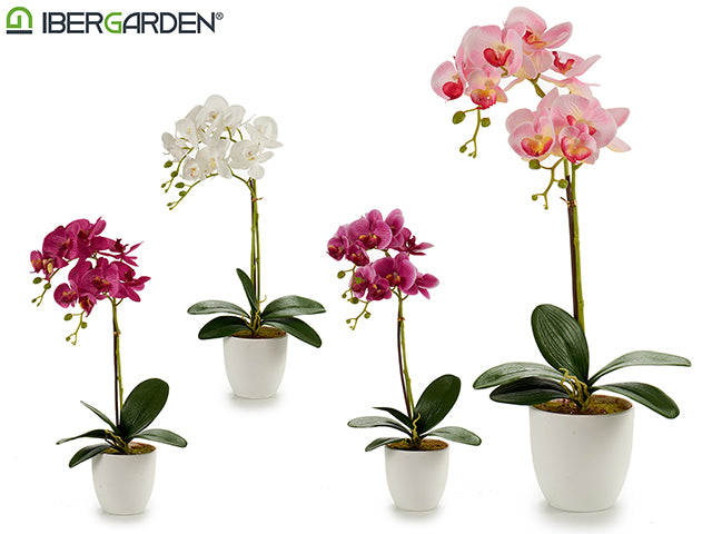 Maceta Cónica Orquídea Blanca 51Cm Mix 4Cl