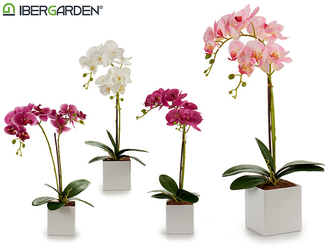 Orquidea Maceta Cuadrada Blanca 51Cm Mix 4Col