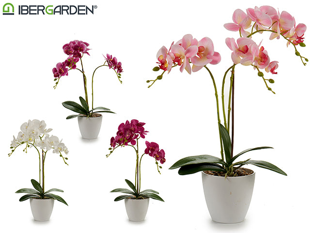 Maceta Cónica Orquídea Blanca 48Cm Mix 4Cl