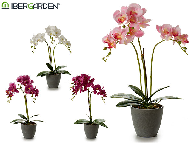 Maceta Cónica Orquídea Gris 48Cm Mix 4Col