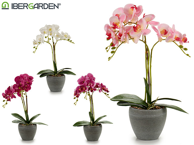 Maceta Circular Cónica Gris Orquídea 4Col