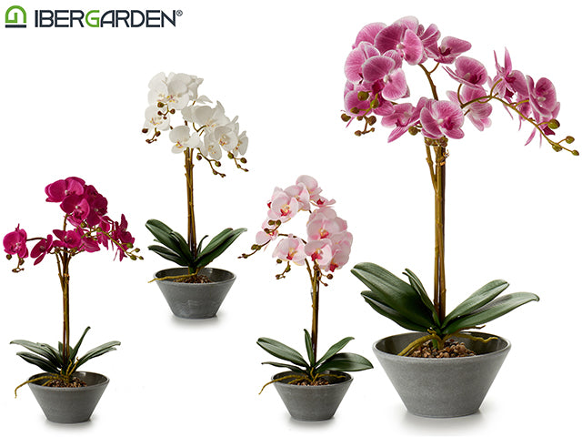 Maceta Cónica Orquídea Gris Grande 58Cm 4Col