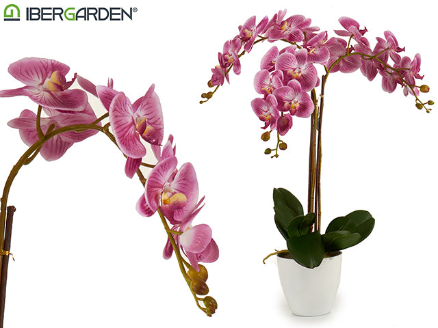 Maceta Jumbo Cónica Blanca Orquídea Lila
