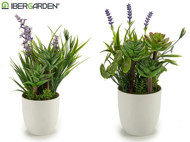 Mezcla De Macetas De Plantas Y Lavanda Modo 2