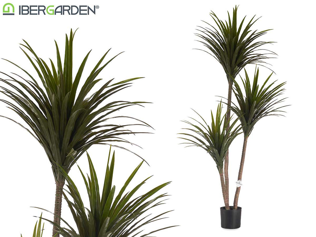 Planta De Hojas Angostas Grandes Con Maceta 200Cm