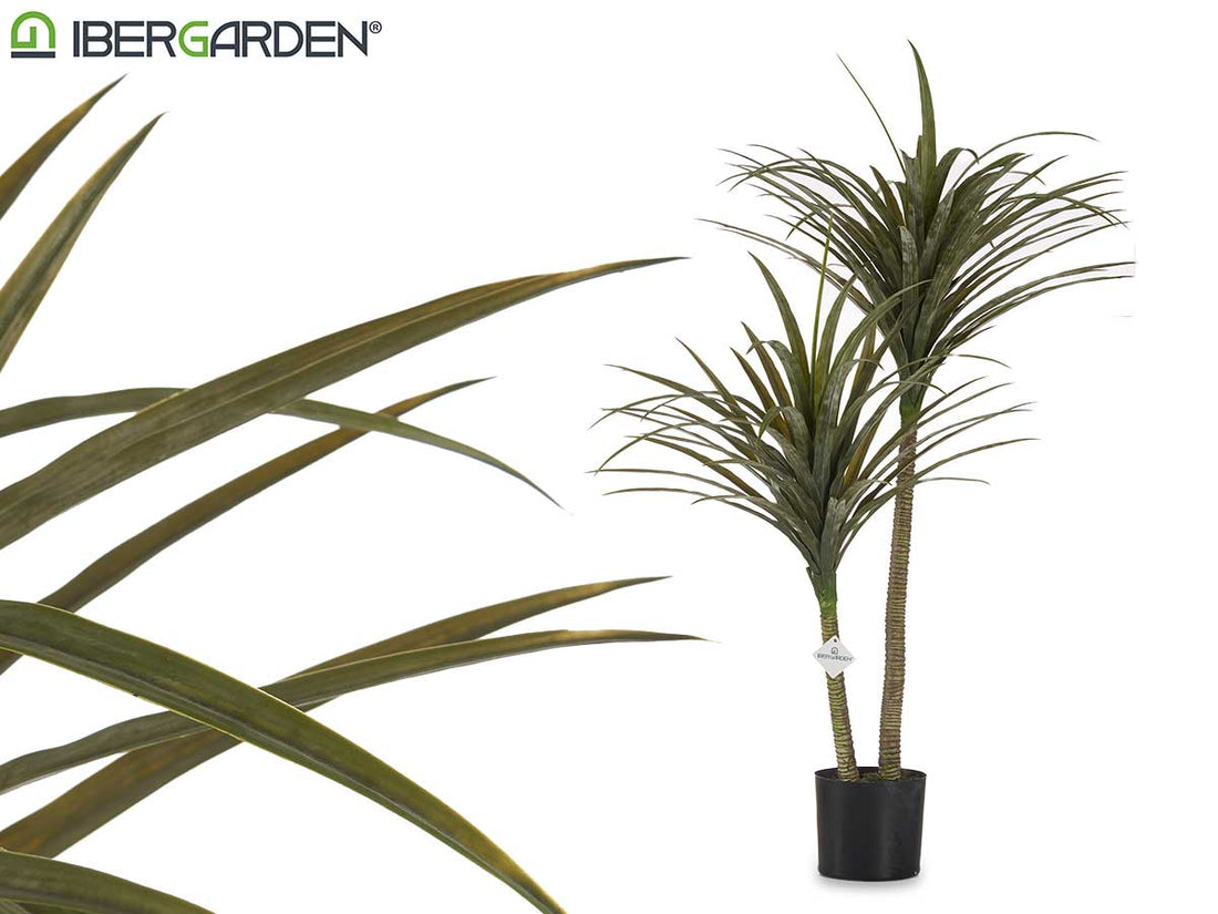 Planta Hojas Medianas Estrechas Con Maceta 150Cm