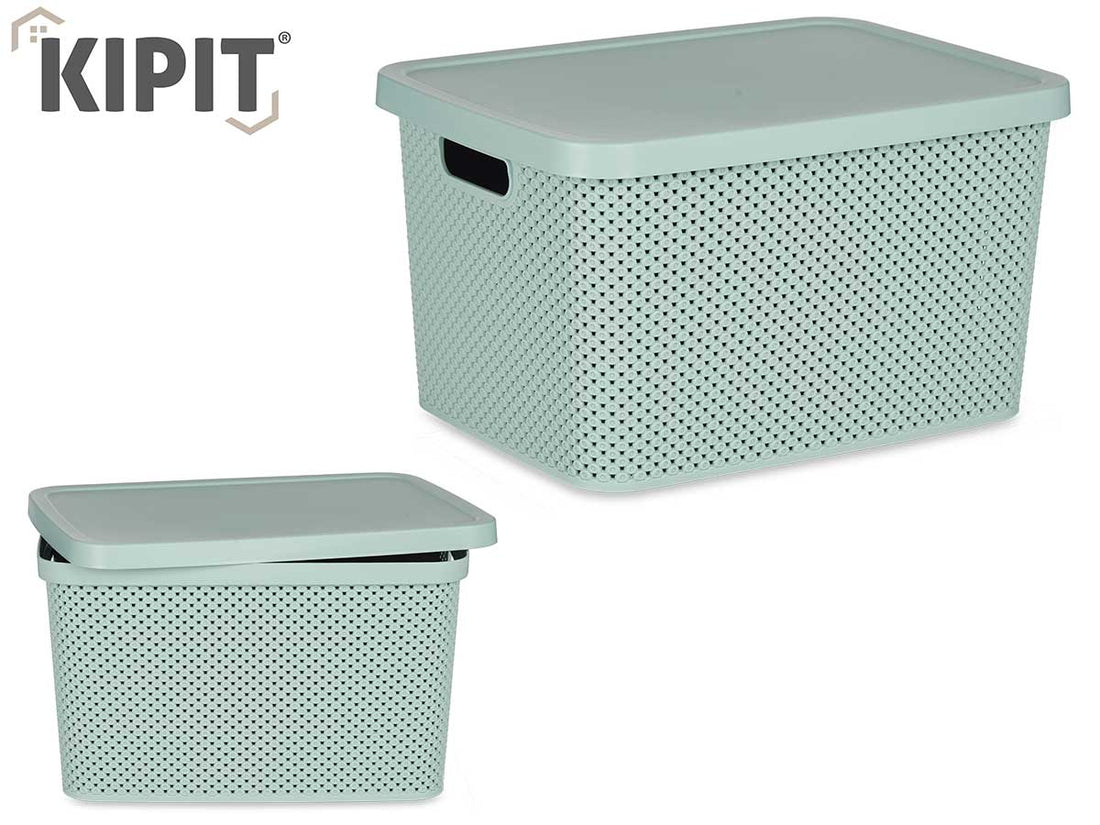 Caja Organizadora Plastico Con Tapa Mint 19L