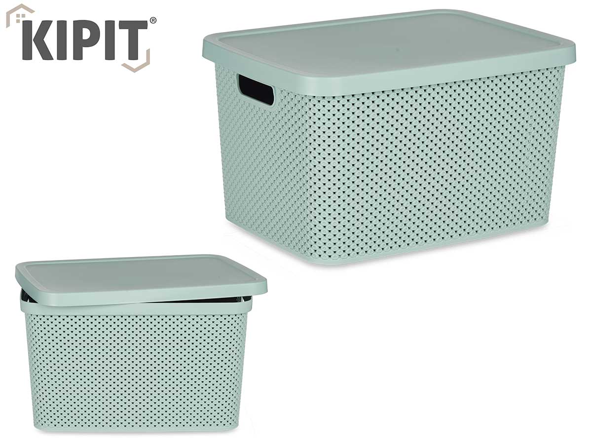 Plastic Organizer Box W Lid Mint 19L