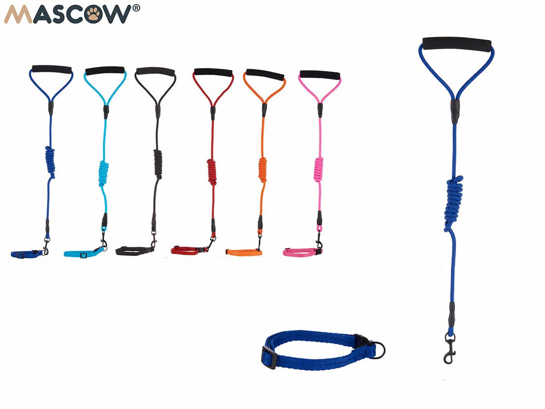 Collar Grande Con Correa Para Mascotas Surtido 6 Colores