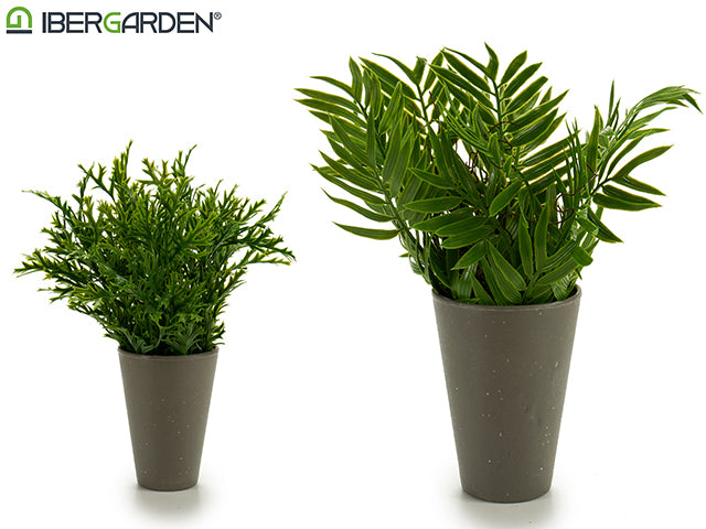 Potted Long Leafs 2 Models Grey