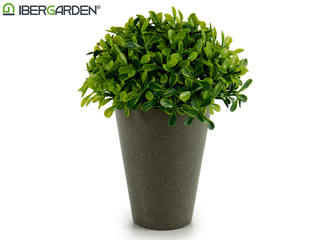 Gray Concret Flowerpot Round Plant