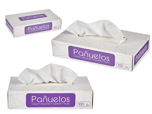Tissue Box 100Pcs