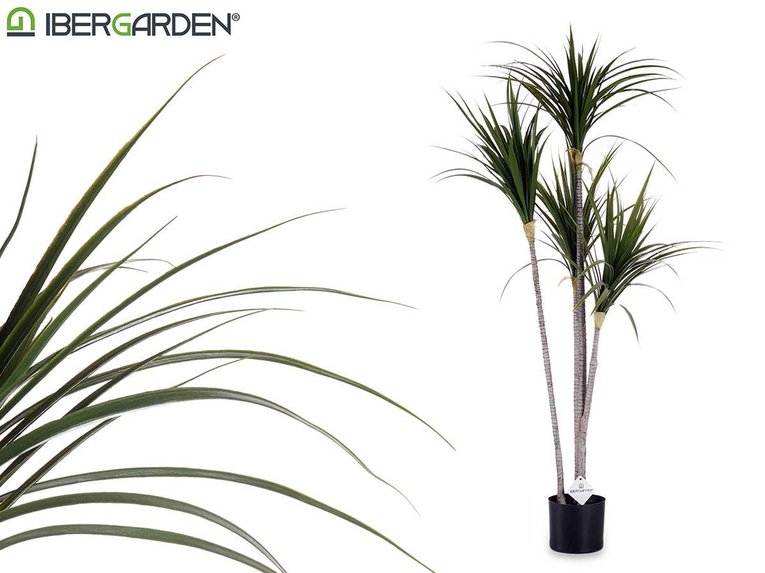 Small Narrow Leaves Plant With Pot 140Cm