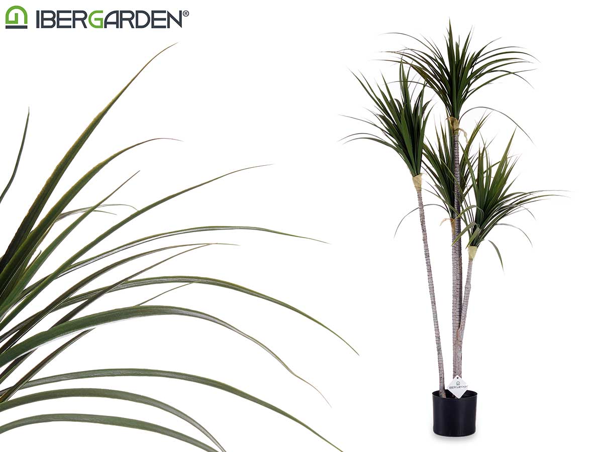Small Narrow Leaves Plant With Pot 140Cm
