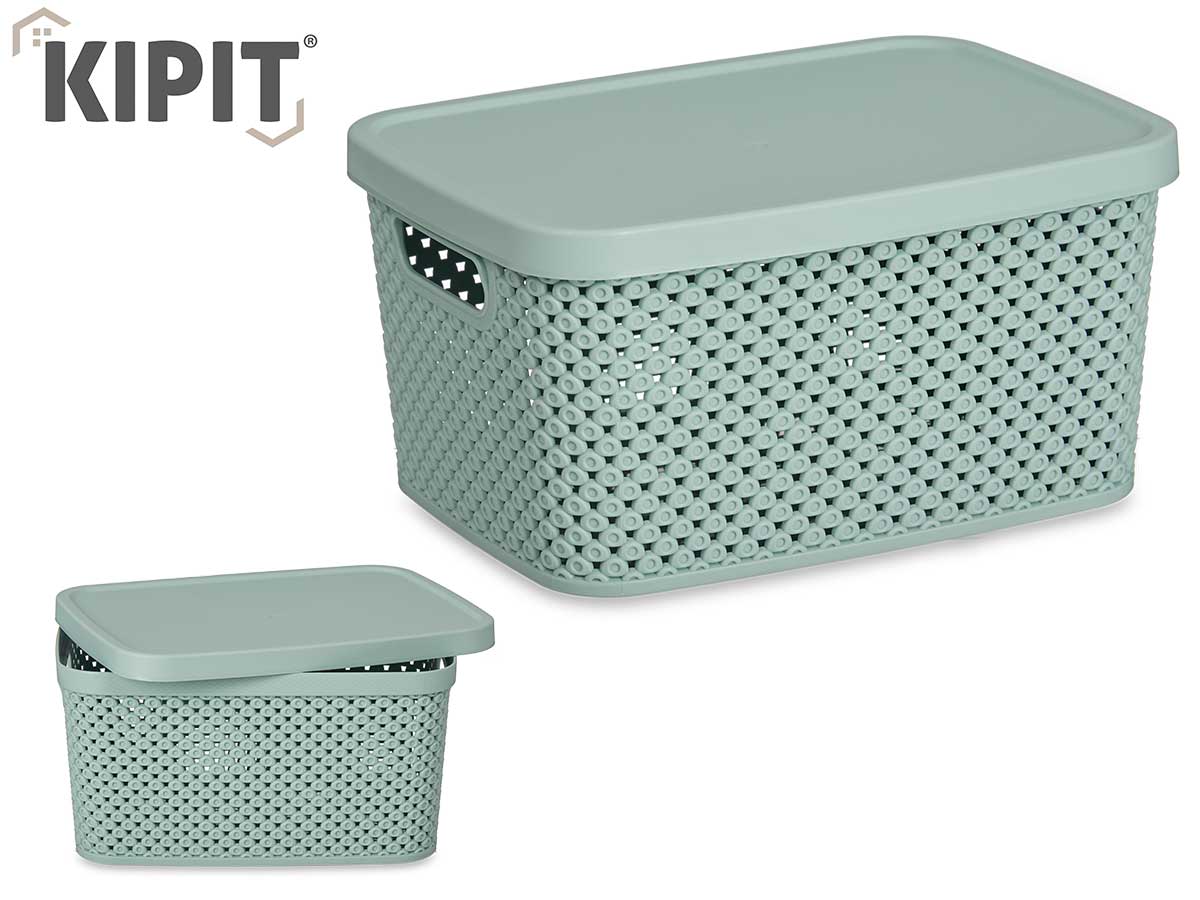 Plastic Organizer Box W Lid Mint 3,5L