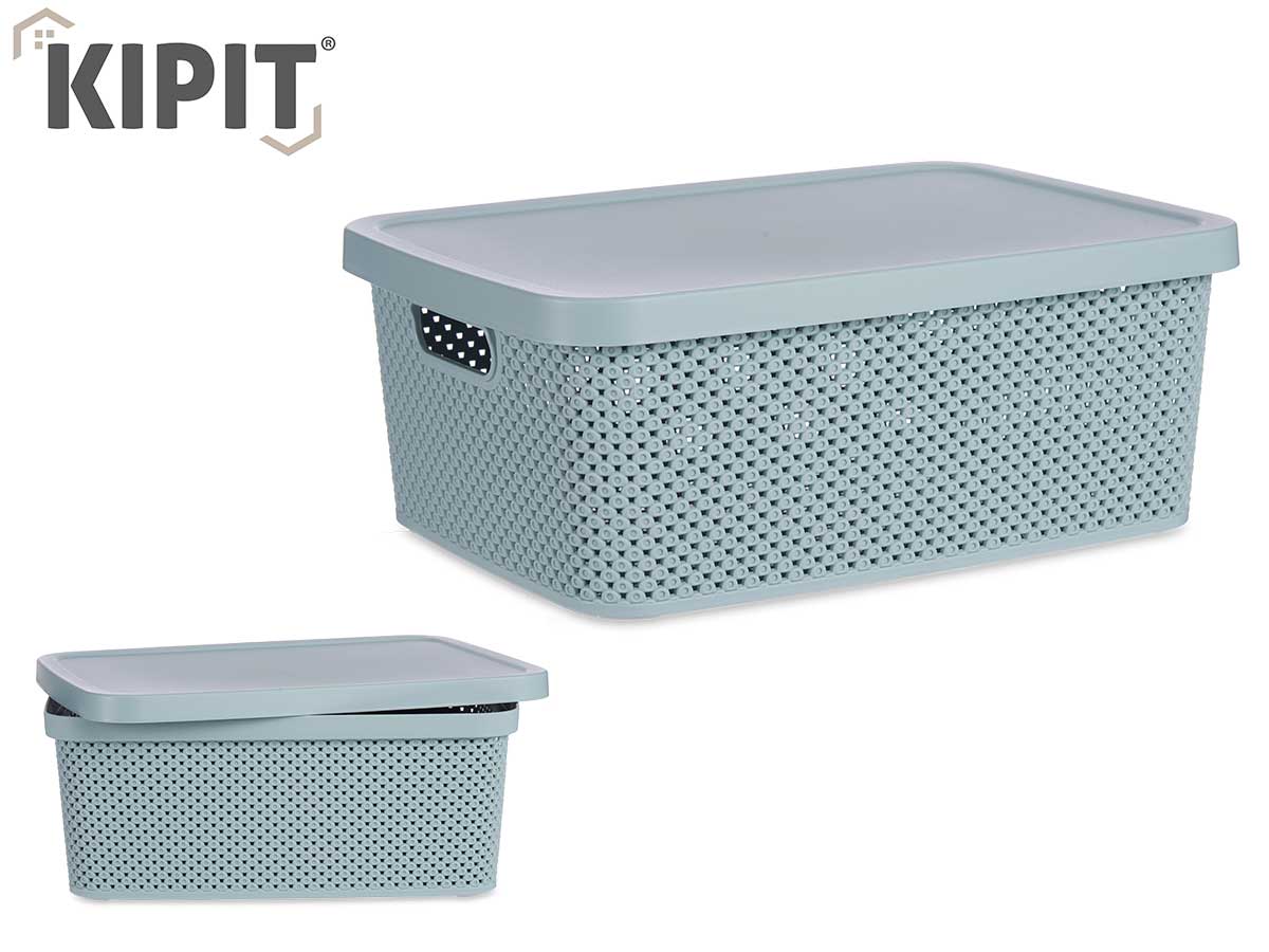Plastic Organizer Box W Lid Mint 13L