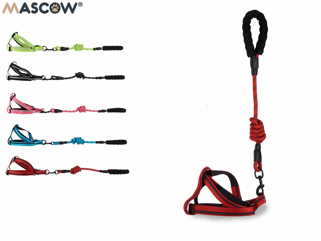 Pet Harness With Round Handle Set 5 Colors